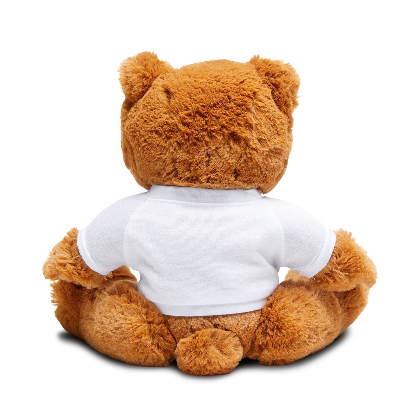 Fun Teddy Bear